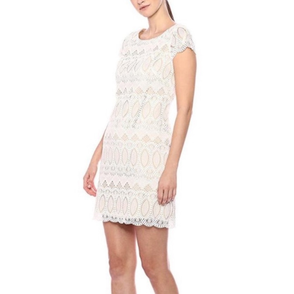 Eliza J Lace White Cap Sleeve Sheath Dress Size 4 Petite